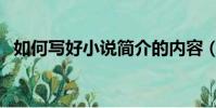 如何寫好小說簡介的內容(如何寫好小說)