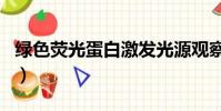 綠色熒光蛋白激發光源觀察燈(綠色熒光蛋白)
