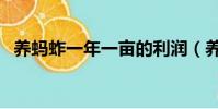 養螞蚱一年一畝的利潤(養螞蚱能賺錢嗎)