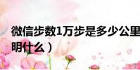 微信步數1萬步是多少公里(微信步數一千說明什么)