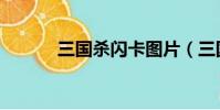 三國殺閃卡圖片(三國殺閃卡)