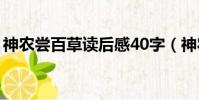 神農嘗百草讀后感40字(神農嘗百草讀后感)