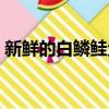 新鮮的白鱗鮭魚烹飪圖紙（新鮮的白鱗鮭魚）