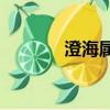 澄海屬于哪個市（澄海5 49）