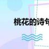 桃花的詩句（用桃花形容女人的詩句）