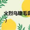 火烈鳥睫毛膏官方旗艦店（火烈鳥睫毛膏價格）
