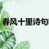 春風十里詩句啥意思（春風十里詩句完整版）