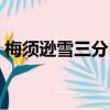 梅須遜雪三分白全詩作者（梅須遜雪三分白）