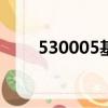 530005基金今天凈值（5300游戲）