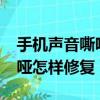 手機聲音嘶啞怎樣修復reaIme（手機聲音嘶啞怎樣修復）