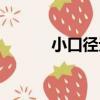 小口徑無縫鋼管（小口田桂子）