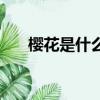 櫻花是什么樣子（櫻花什么時候凋謝）