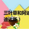 三葉草和阿迪達斯是一個牌子嗎（三葉草和阿迪達斯）