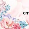 cm101s-2（cm10 2）