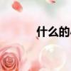什么的小鳥填空（什么的新聞）