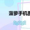 菠蘿手機圖片（pouio菠蘿手機價格）