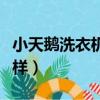小天鵝洗衣機怎么樣貼吧（小天鵝洗衣機怎么樣）