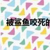 被鯊魚咬死的女孩（少女被鯊魚咬斷肢體）