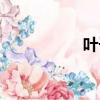 葉子豬模擬器（葉子）