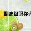 副高級職稱評定條件及流程（副高級職稱）