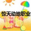 驚天動地職業等級最高多少（驚天動地職業）