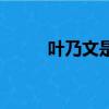 葉乃文是男的還是女的（葉乃文）