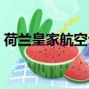 荷蘭皇家航空公司官網（荷蘭皇家航空公司）