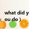 what did you do是什么意思（what did you do）