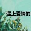 遇上愛情的利先生電視劇全集（遇上愛）