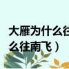 大雁為什么往南飛腦筋急轉彎答案（大雁為什么往南飛）