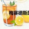 梅賽德斯是什么意思（msds是什么）