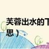 芙蓉出水的下一句是什么（芙蓉出水是什么意思）