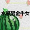 水瓶男金牛女配對指數（金牛注定愛上水瓶）