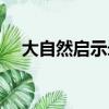 大自然啟示錄（來自大自然的啟示素材）