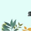 圭臬(gui nie)（圭）