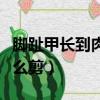 腳趾甲長到肉里怎么剪掉（腳趾甲長到肉里怎么剪）