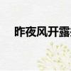 昨夜風開露井桃全詩（昨夜風開露井桃）