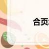 合頁怎么念（合頁念什么）