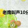老鷹叫聲10分鐘的mp3（老鷹叫聲嚇飛禽）