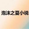 泡沫之夏小說在線閱讀（泡沫之夏小說結局）
