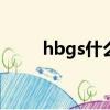 hbgs什么牌子（hgst是什么牌子）