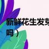 新鮮花生發芽能吃嗎視頻（新鮮花生發芽能吃嗎）