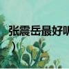 張震岳最好聽的歌是什么（張震岳最好聽的歌）