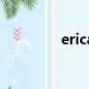 erica英文名寓意（erica）