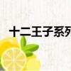十二王子系列在哪可以看（十二王子系列）