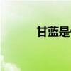 甘藍是什么植物（甘藍是什么）