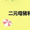 二元母豬和三元母豬區別（二元母豬）