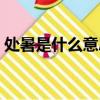 處暑是什么意思啊解釋（處暑是什么意思啊）