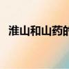 淮山和山藥的區別（淮山和山藥圖片對比）
