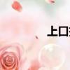 上口拆遷村莊（上口下巴）